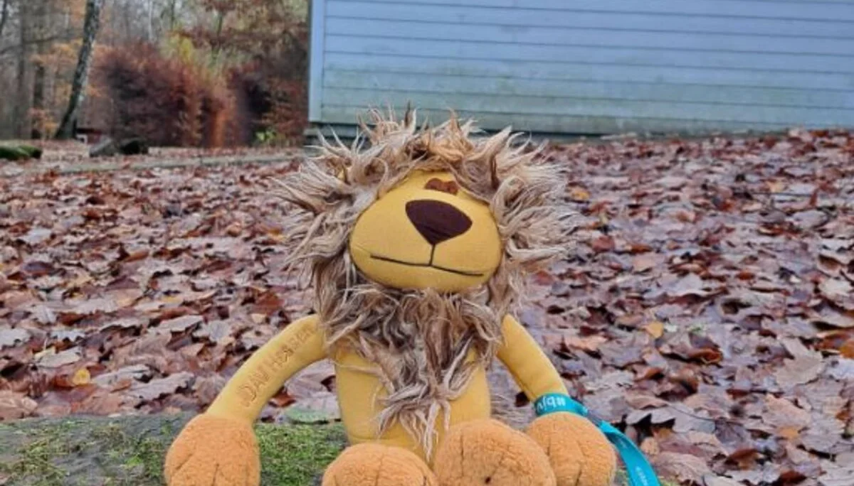 © JDAV Hessen/Erik Thiel