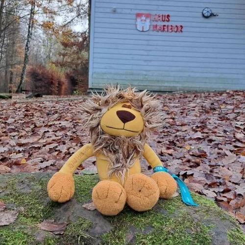 © JDAV Hessen/Erik Thiel