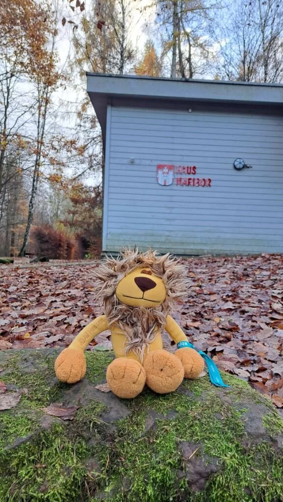 © JDAV Hessen/Erik Thiel