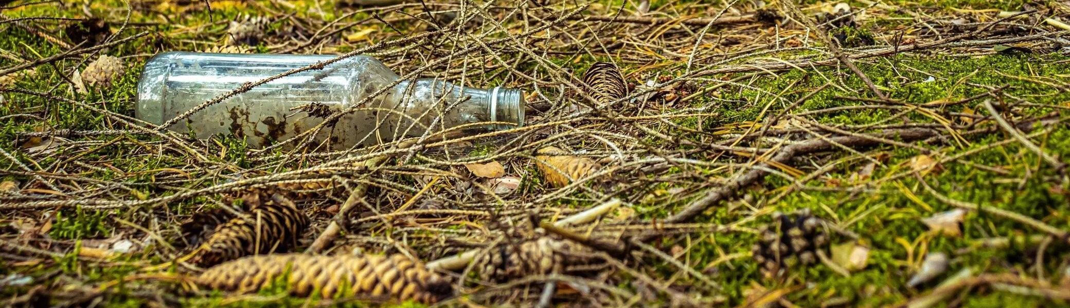 Eine leere Flasche im Wald | © Kamil Miłkowski/ pixabay